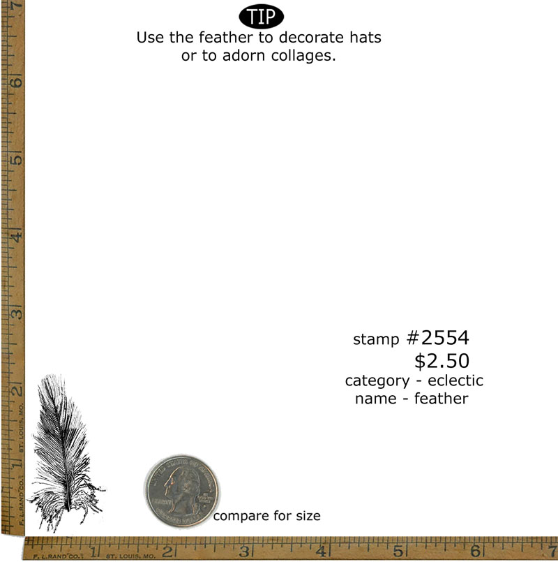 #2554 - Feather - Eclectic